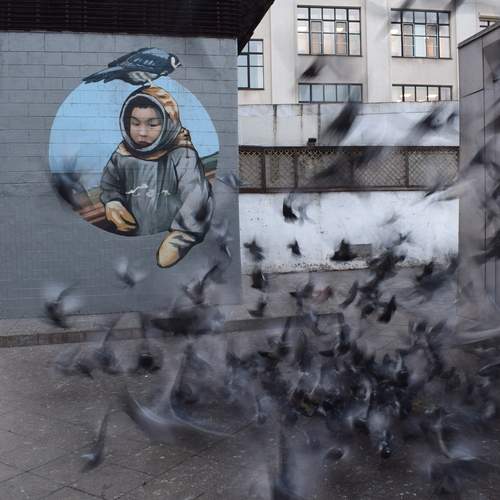 Photo #11837408