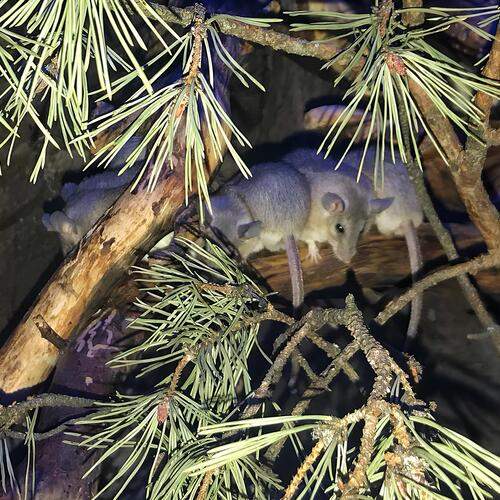 Photo #11837828