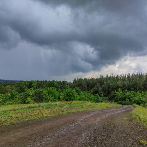 Photo #11837852