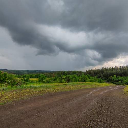 Photo #11837856