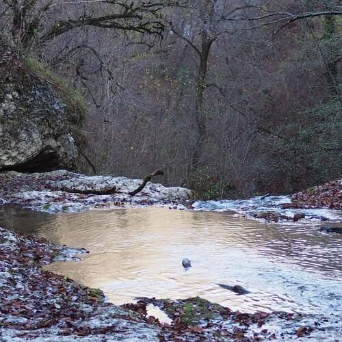Photo #11837871