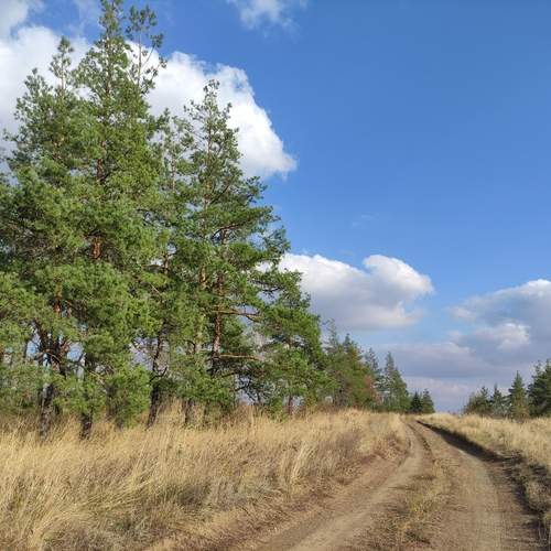 Photo #11837897