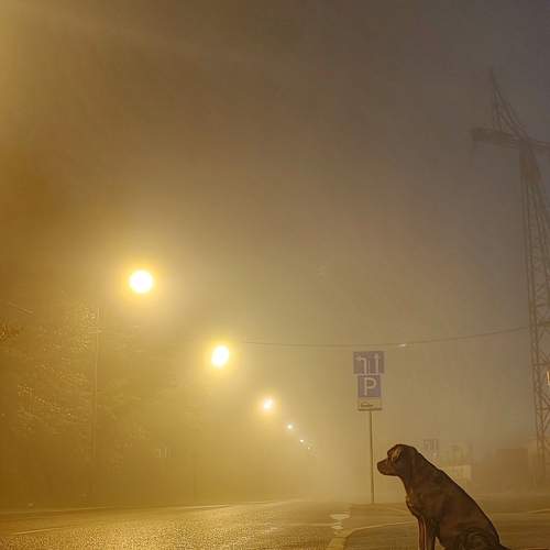 Photo #11838084