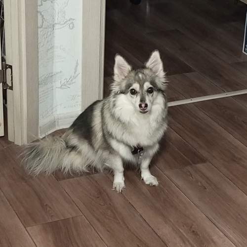 Photo #11838275