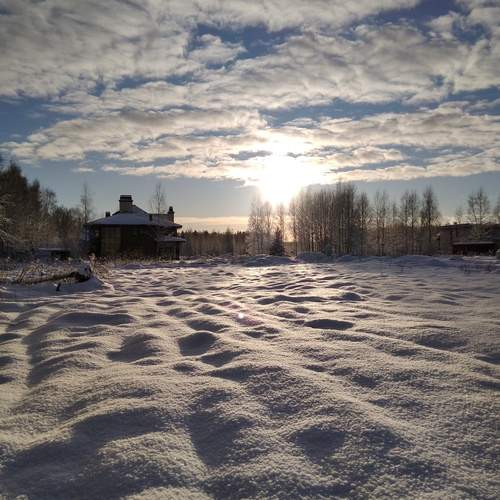 Photo #11838297