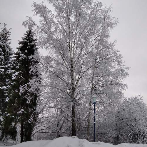 Photo #11838374