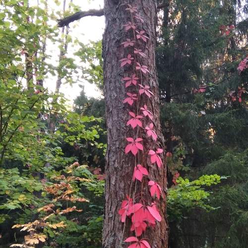 Photo #11838468