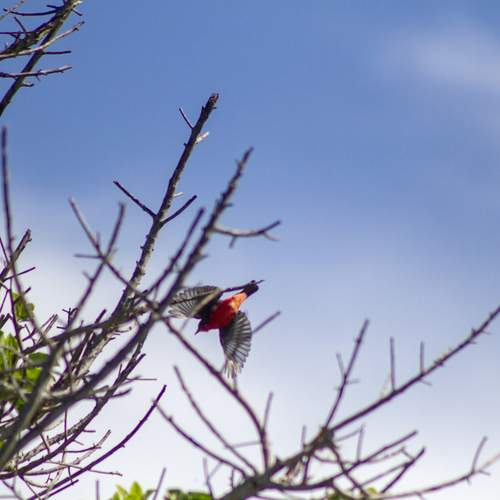 Photo #11838525