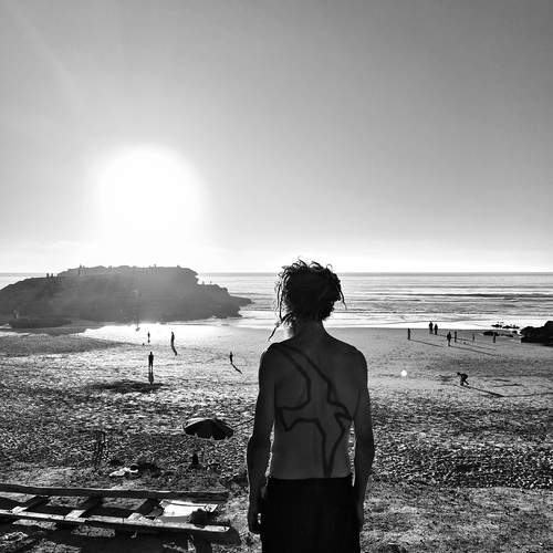 Photo #11838533