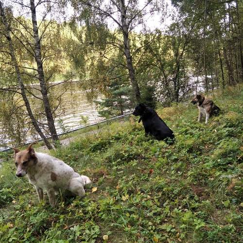 Photo #11838547