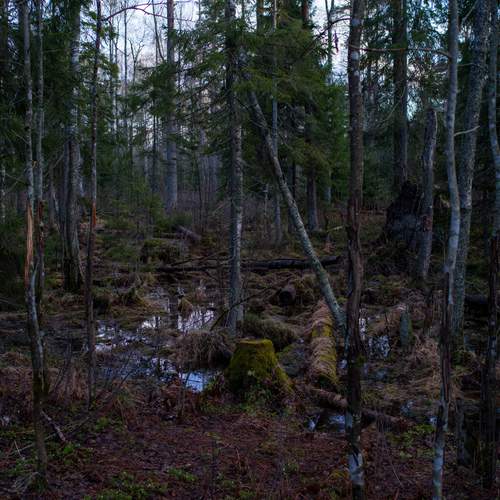 Photo #11838708