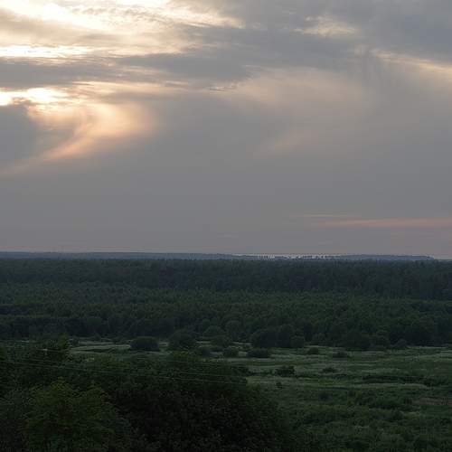 Photo #11838789