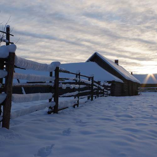 Photo #11839090