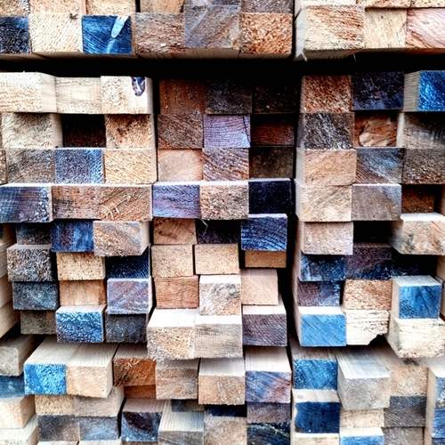 Photo #11839695