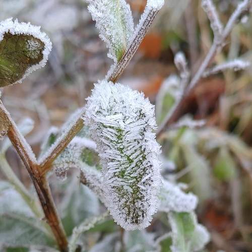 Photo #11839757
