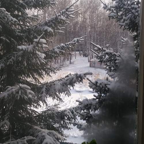 Photo #11839767