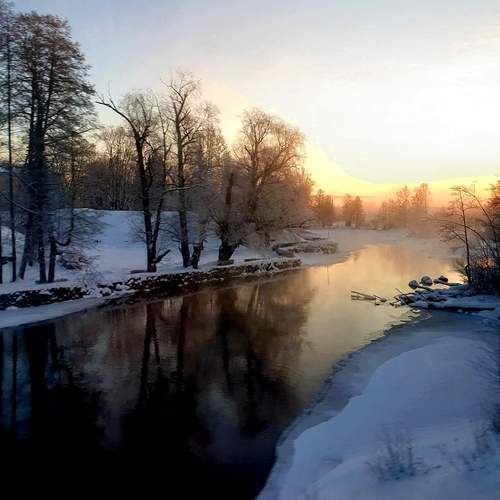 Photo #11839967