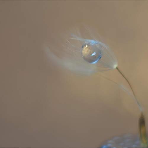 Photo #11840088