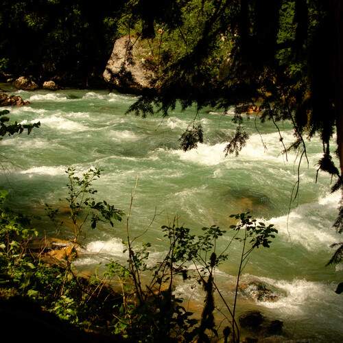 Photo #11840095