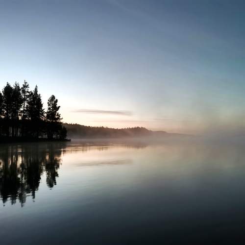 Photo #11840100