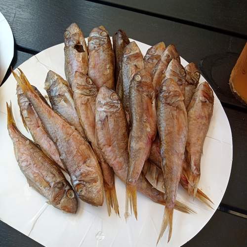 Photo #11840214