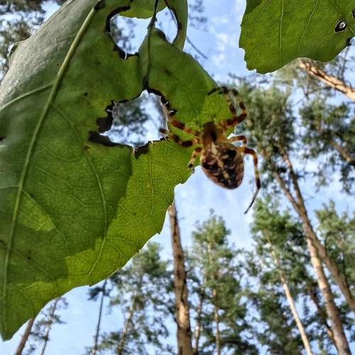 Photo #11840222