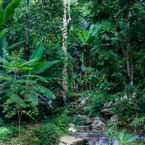 Photo #11840269
