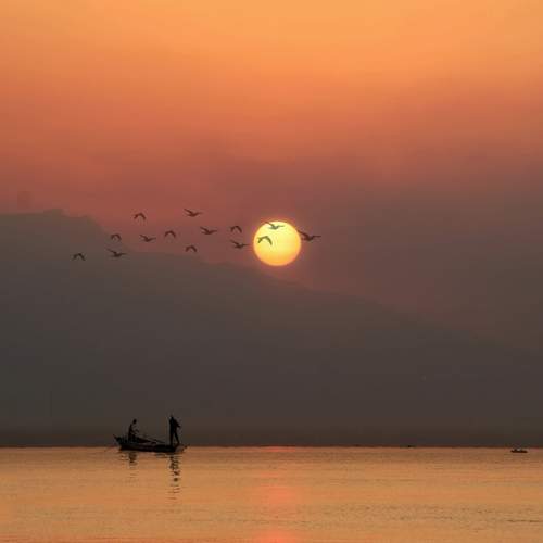 Photo #11840456