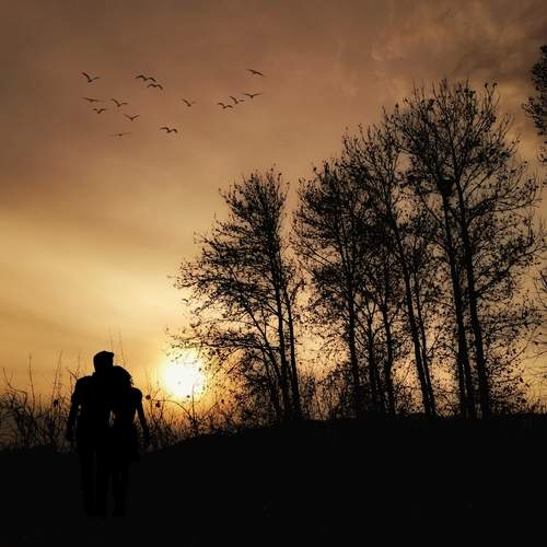 Photo #11840458