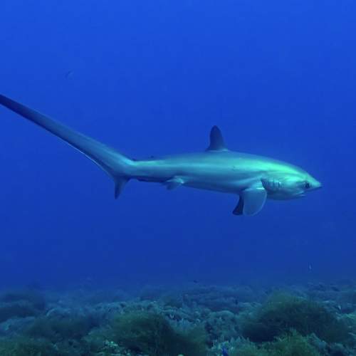 Photo #11840576