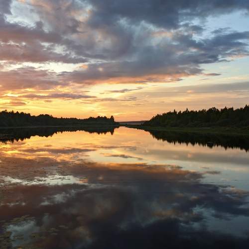 Photo #11840611