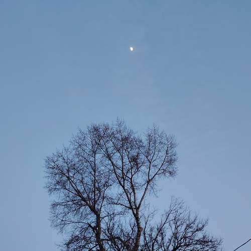 Photo #11840708