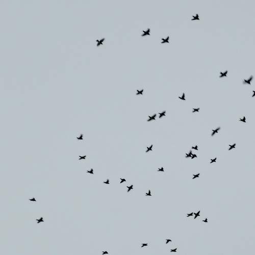 Photo #11840779