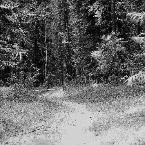 Photo #11840804