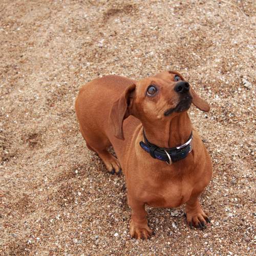 Photo #11841372