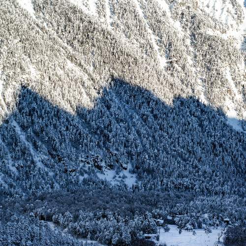 Photo #11841449