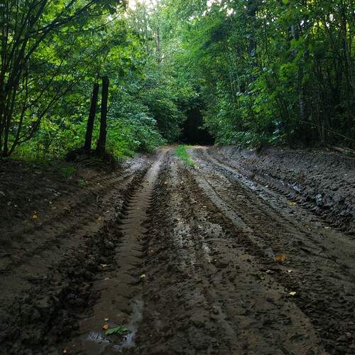 Photo #11841455