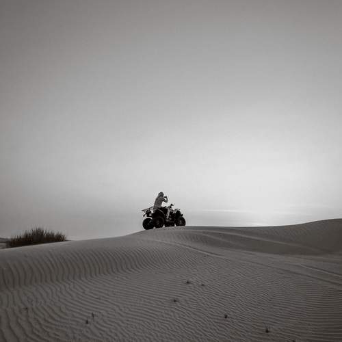Photo #11841546