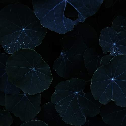 Photo #11841586