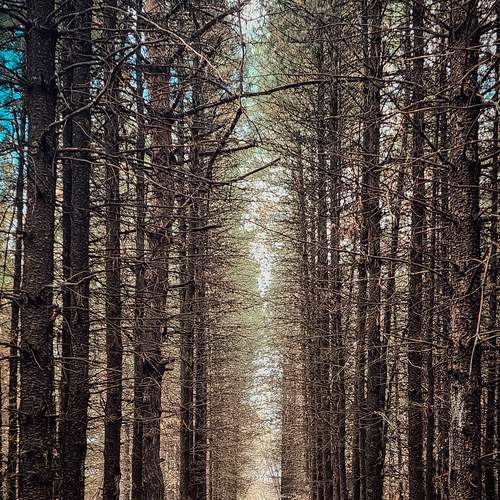 Photo #11841618