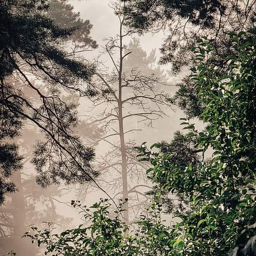 Photo #11841622