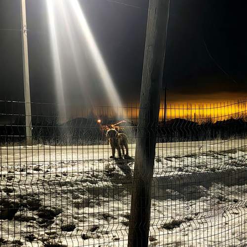 Photo #11841627