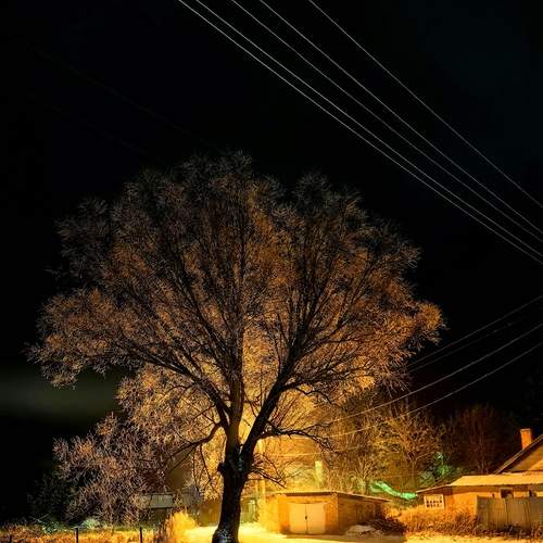 Photo #11841628
