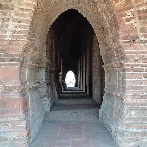 Photo #11841652