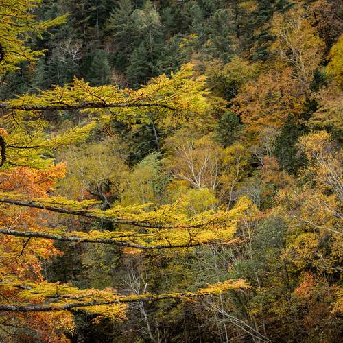 Photo #11841868