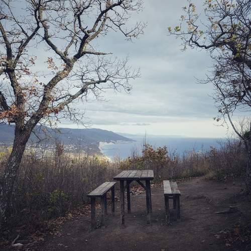 Photo #11841876
