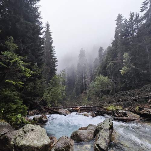 Photo #11841885