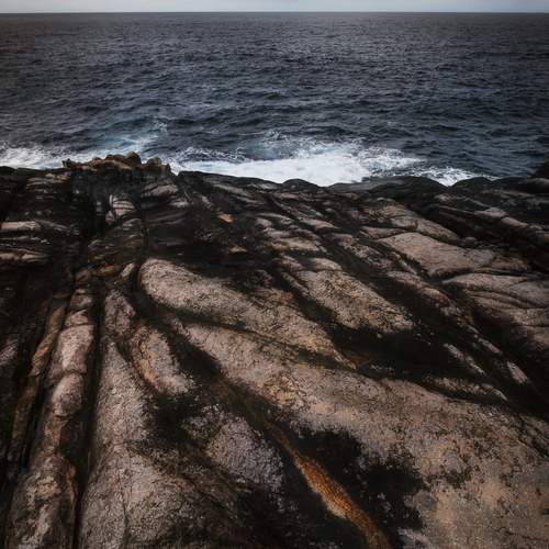 Photo #11842045