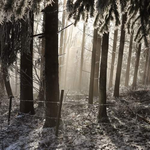 Photo #11842173