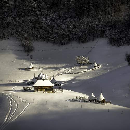 Photo #11842210